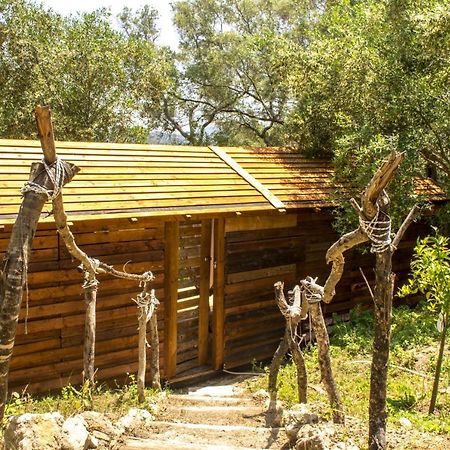Pelekas Olive Grove Oasis Room No4 Zewnętrze zdjęcie