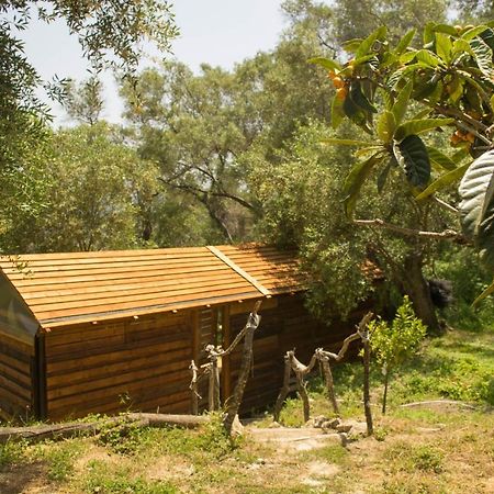 Pelekas Olive Grove Oasis Room No4 Zewnętrze zdjęcie